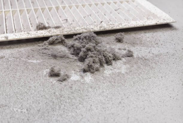Best Affordable Air Duct Cleaning  in Louisvle, IL